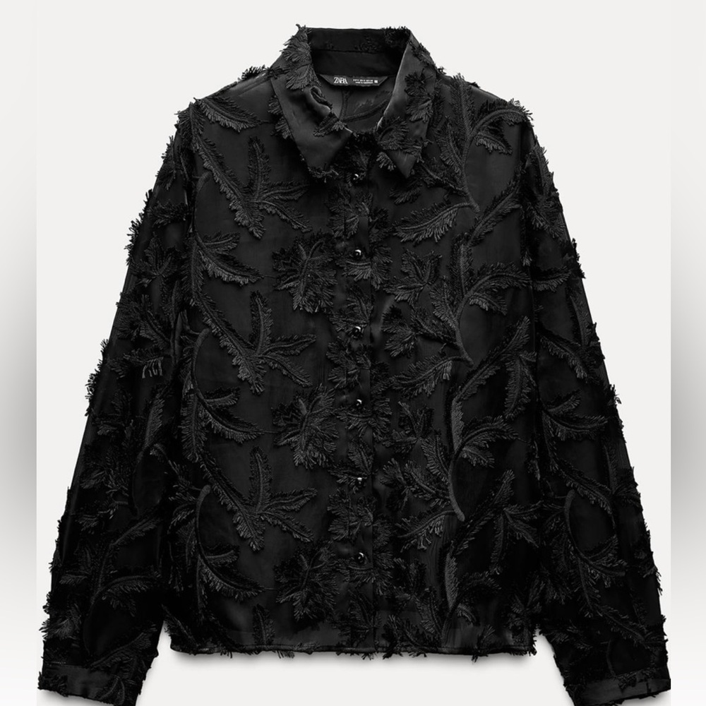 Classy Shirt Nwot